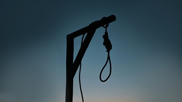 The Gallows